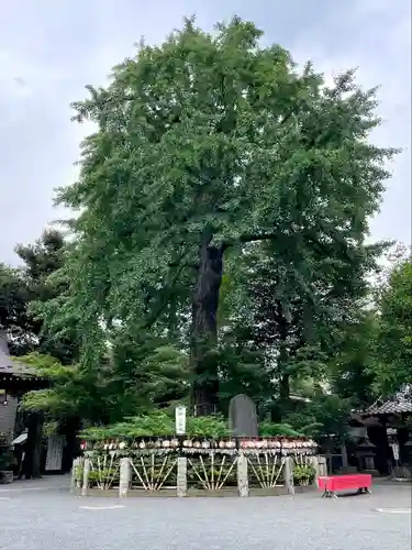 七社神社(東京都)
