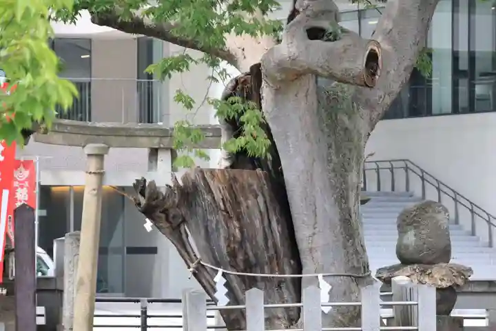 阿邪訶根神社の鳥居