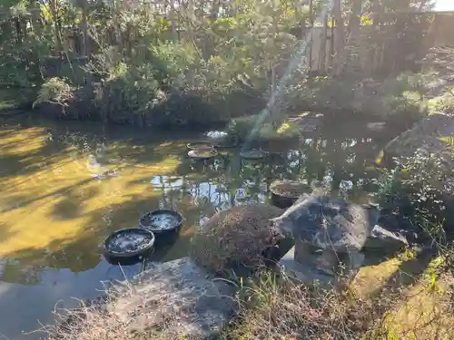 退蔵院(京都府)
