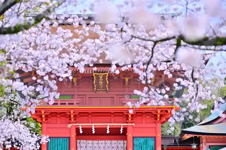 富士山本宮浅間大社(静岡県)