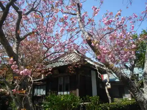 極楽寺（霊鷲山感應院極楽律寺）の自然