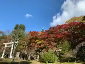 土津神社|こどもと出世の神さまの自然(2020年10月27日(火) 16時20分42秒投稿)