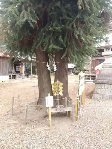 長沼八幡宮(栃木県)