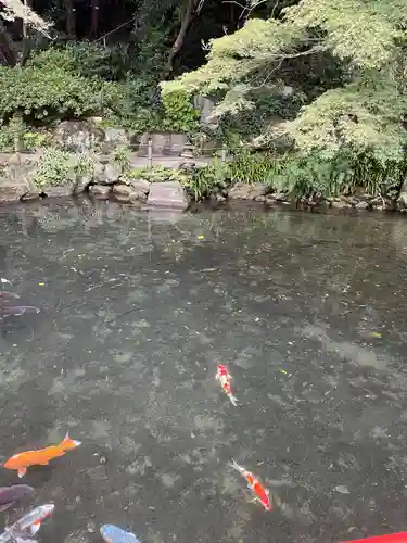貫井神社(東京都)