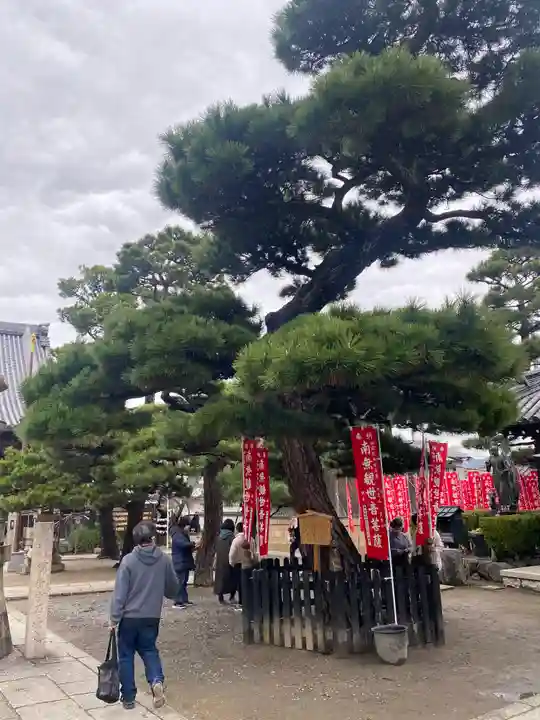 葛井寺(大阪府)