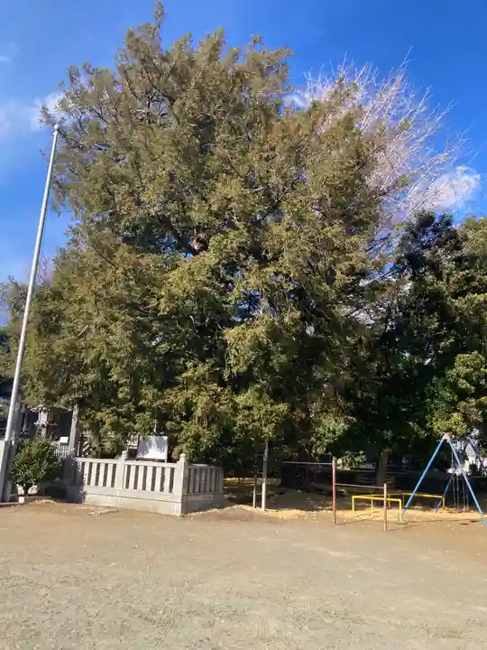 岡崎神社(神奈川県)