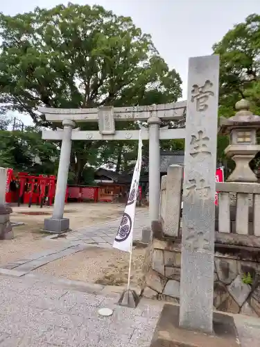 菅生神社(愛知県)