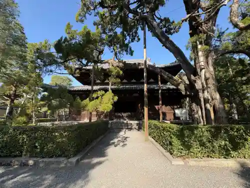 大徳寺(京都府)