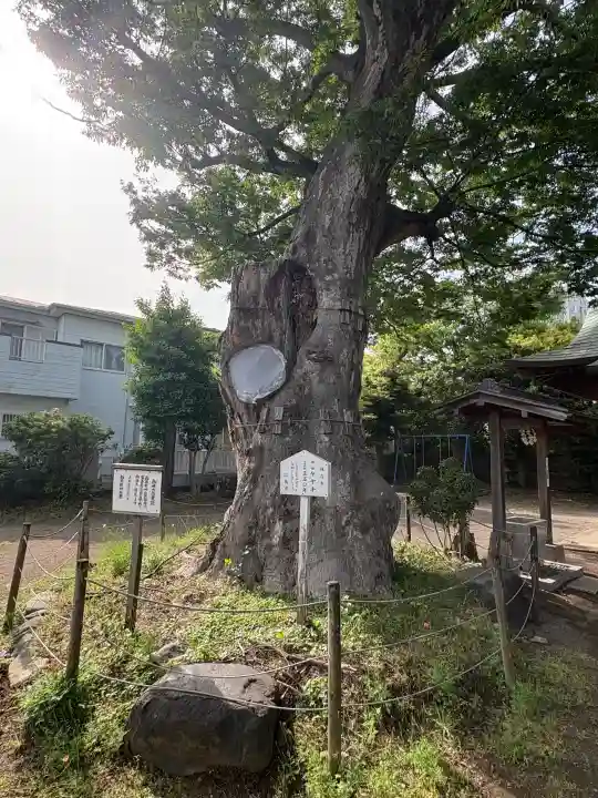 日隅神社(静岡県)