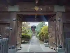 蓮光院(東京都)