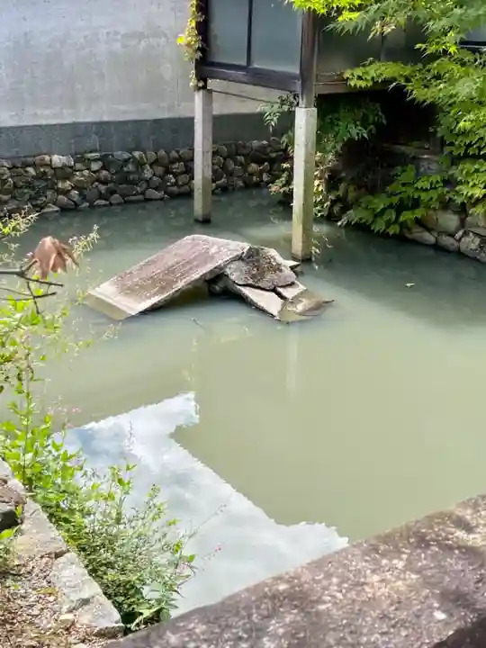養源院(京都府)