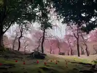 城南宮(京都府)