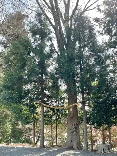 八幡神社(滋賀県)