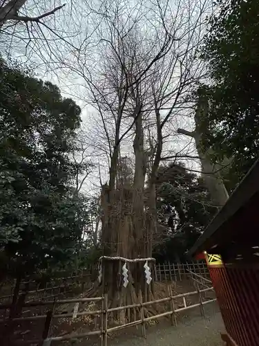 大國魂神社(東京都)