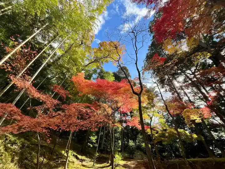 神峯山寺(大阪府)
