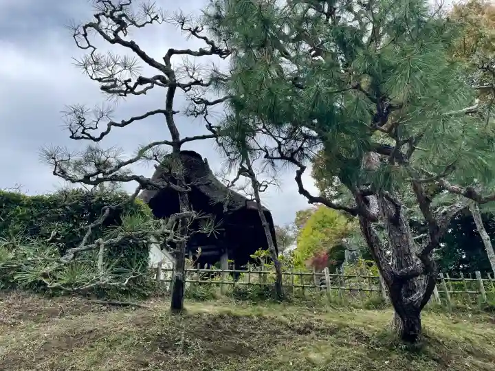 長壽寺(長寿寺)(神奈川県)