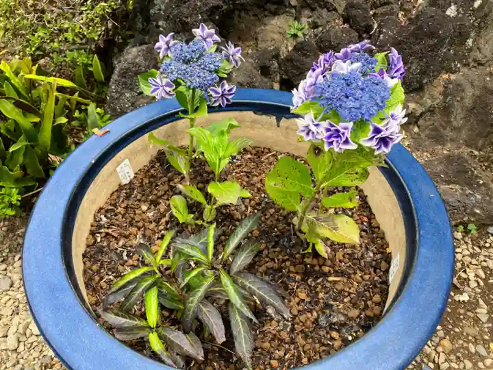 大善院(東京都)