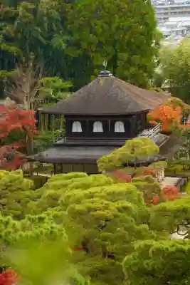慈照寺（慈照禅寺・銀閣寺）(京都府)