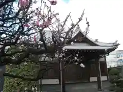 龍光院(東京都)