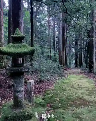 瀧神社(岐阜県)