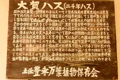 定福寺(高知県)