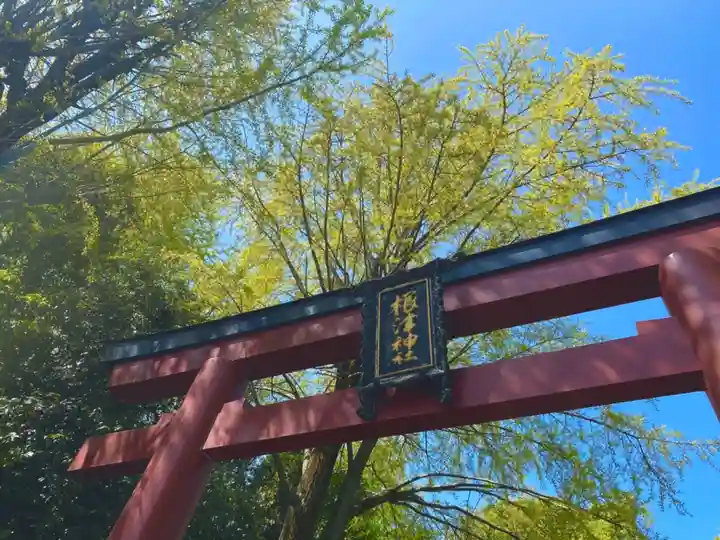 根津神社の鳥居