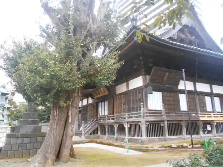 龍本寺の本殿・本堂