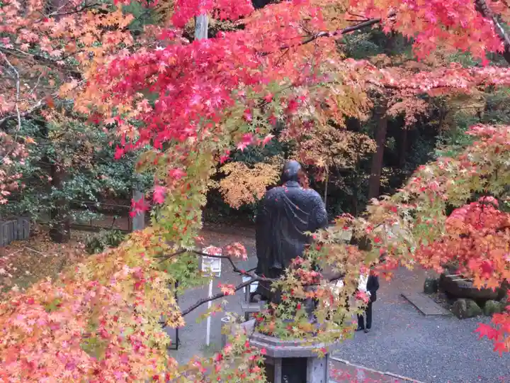 今熊野観音寺の庭園