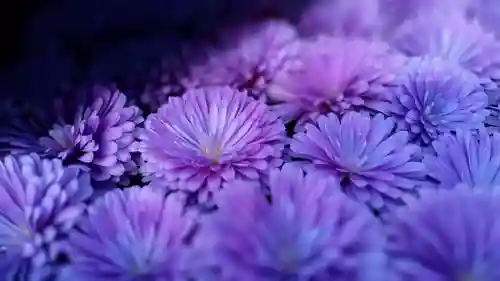 阿邪訶根神社の授与品その他