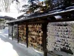 新琴似神社の絵馬