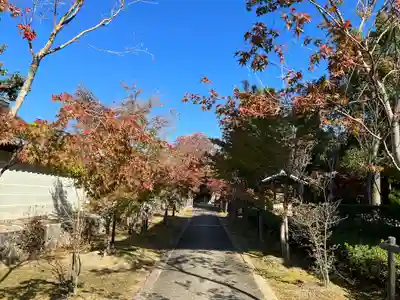 仁和寺(京都府)
