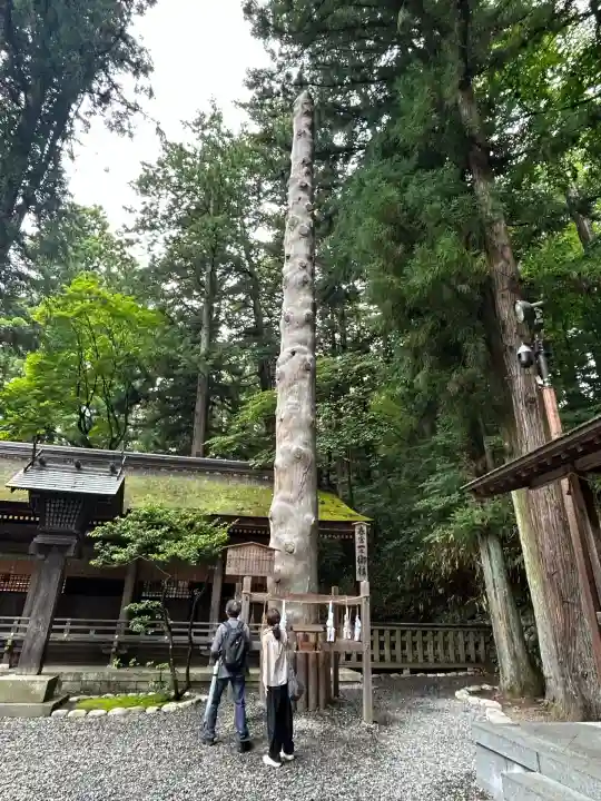 諏訪大社下社春宮(長野県)