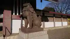 千葉縣護國神社の狛犬