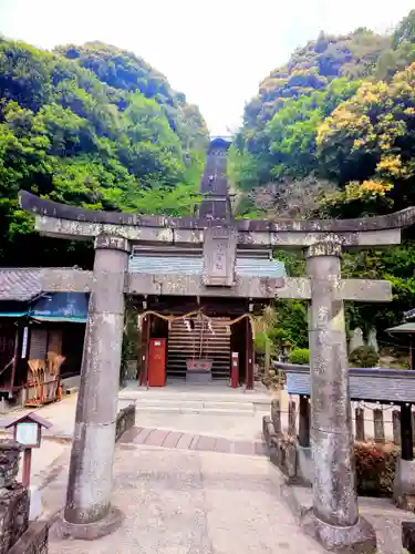 須賀神社の鳥居