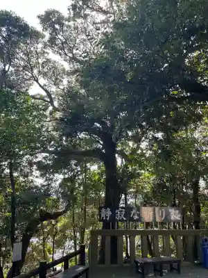 青木神社（笠間町）の{uncategorized: "未分類", other: "その他", undefined: "問題あり", building: "その他建物", grave: "お墓", sacred_gate: "鳥居", guardian: "狛犬", statue: "像", buddha: "仏像", history: "歴史", nature: "自然", garden: "庭園", animal: "動物", pagoda: "塔", temizu: "手水舎", mountain_gate: "山門・神門", sanctuary: "本殿・本堂", subordinate: "末社・摂社", art: "芸術", scenery: "景色", jizo: "地蔵", ema: "絵馬", goshuin: "御朱印", omikuji: "おみくじ", items: "授与品その他", amulet: "お守り", goshuincho: "御朱印帳", eats: "食事", festival: "お祭り", votive_dance: "神楽", shichigosan: "七五三参", wedding: "結婚式", experience: "体験その他", initially: "初詣", around: "周辺", anti_infection: "感染症対策"}