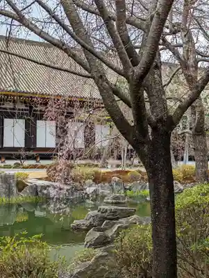 蓮華王院(三十三間堂)の庭園