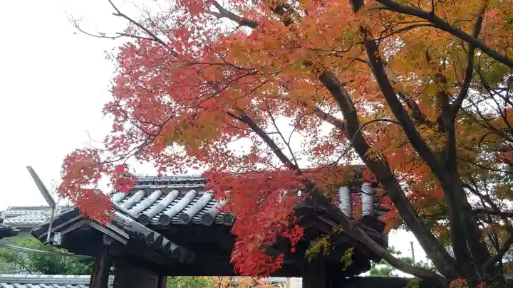 大報恩寺(千本釈迦堂)のその他建物