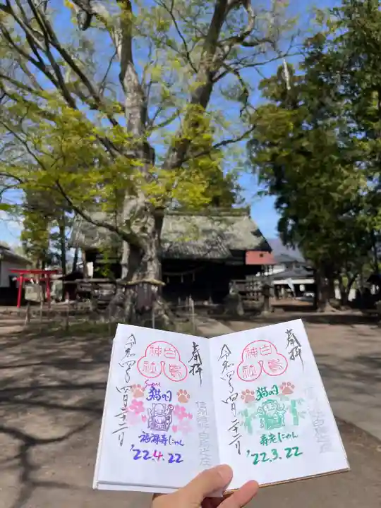 白鳥神社の御朱印