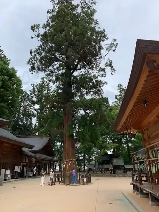 穂高神社本宮(長野県)