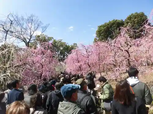 城南宮(京都府)