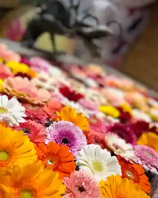 札幌諏訪神社の手水舎