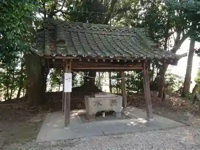 津島神社の手水舎