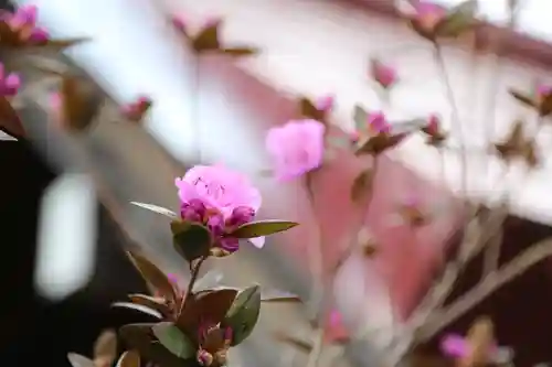 江部乙神社の自然