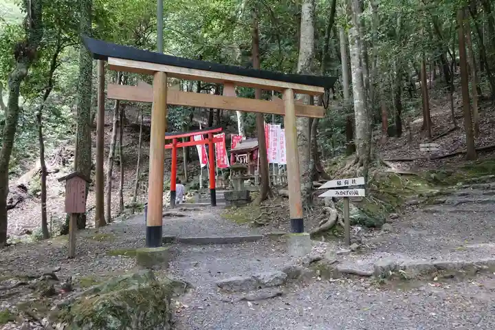 出雲大神宮の鳥居