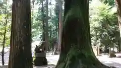 室生龍穴神社(奈良県)