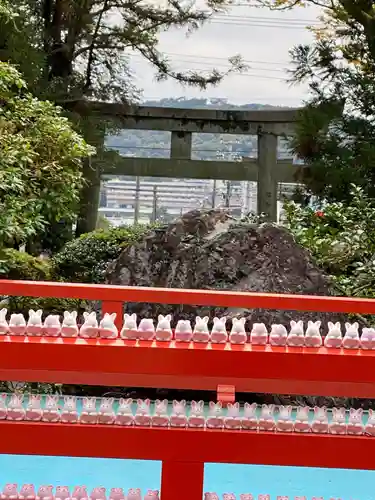 岡崎神社のおみくじ