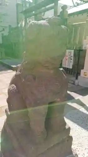 高輪神社の狛犬