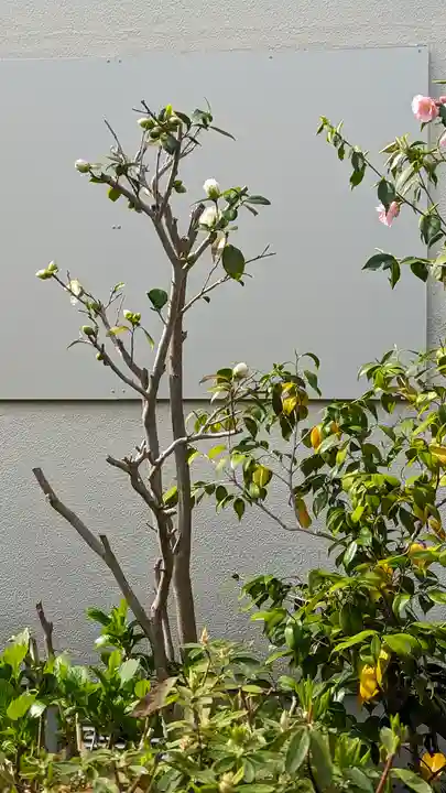 福田寺(京都府)