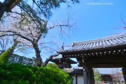 瑞雲寺(神奈川県)