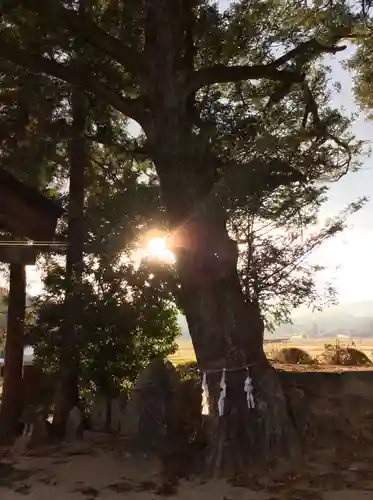 鹿島神社の自然